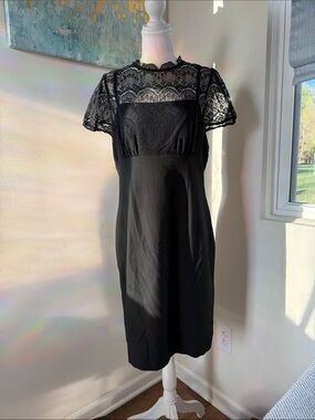 The Limited Black Lace Midi Dress Size 12